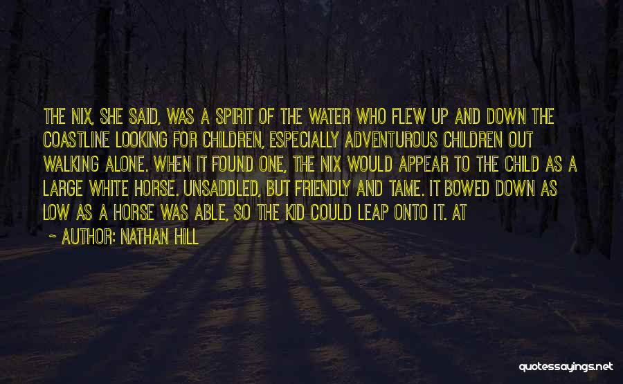 Nathan Hill Quotes: The Nix, She Said, Was A Spirit Of The Water Who Flew Up And Down The Coastline Looking For Children,