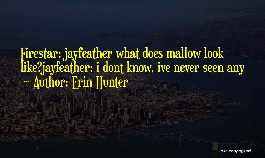 Erin Hunter Quotes: Firestar: Jayfeather What Does Mallow Look Like?jayfeather: I Dont Know, Ive Never Seen Any