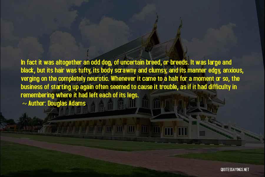 Douglas Adams Quotes: In Fact It Was Altogether An Odd Dog, Of Uncertain Breed, Or Breeds. It Was Large And Black, But Its