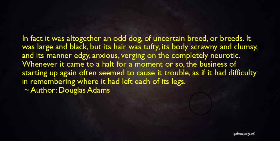 Douglas Adams Quotes: In Fact It Was Altogether An Odd Dog, Of Uncertain Breed, Or Breeds. It Was Large And Black, But Its