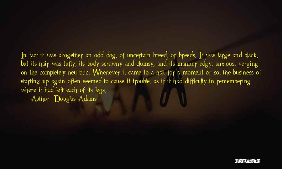 Douglas Adams Quotes: In Fact It Was Altogether An Odd Dog, Of Uncertain Breed, Or Breeds. It Was Large And Black, But Its