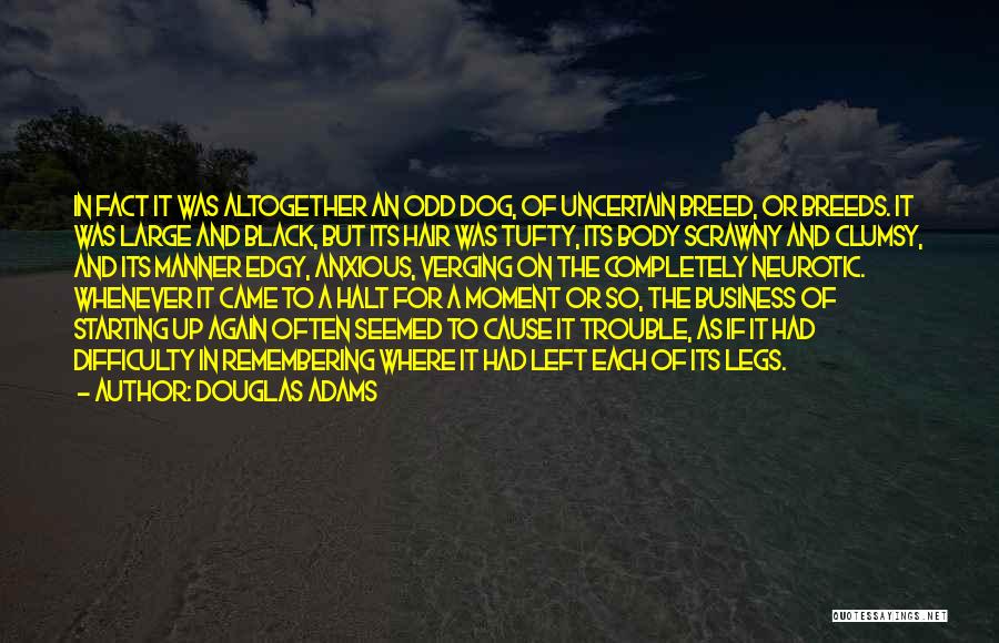 Douglas Adams Quotes: In Fact It Was Altogether An Odd Dog, Of Uncertain Breed, Or Breeds. It Was Large And Black, But Its