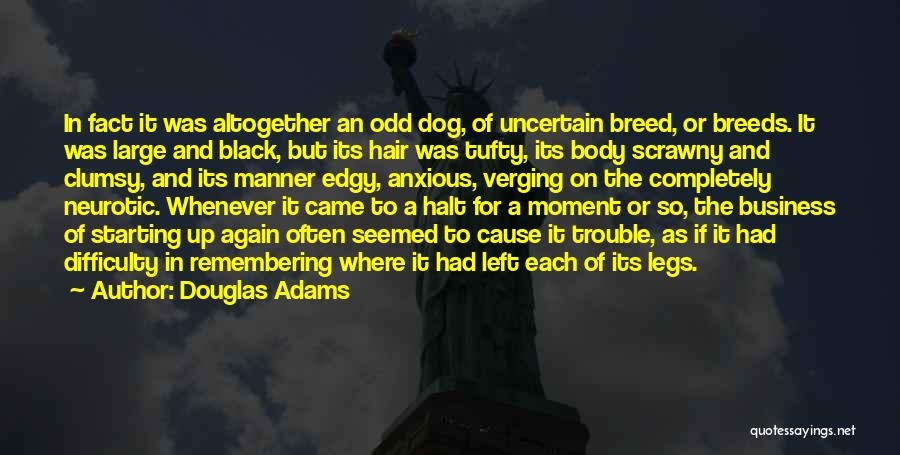 Douglas Adams Quotes: In Fact It Was Altogether An Odd Dog, Of Uncertain Breed, Or Breeds. It Was Large And Black, But Its