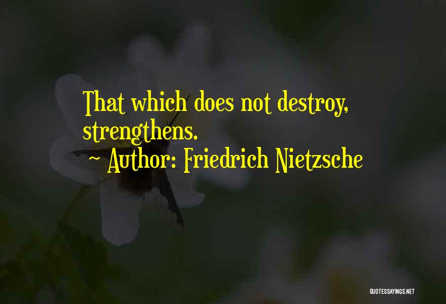 Friedrich Nietzsche Quotes: That Which Does Not Destroy, Strengthens.