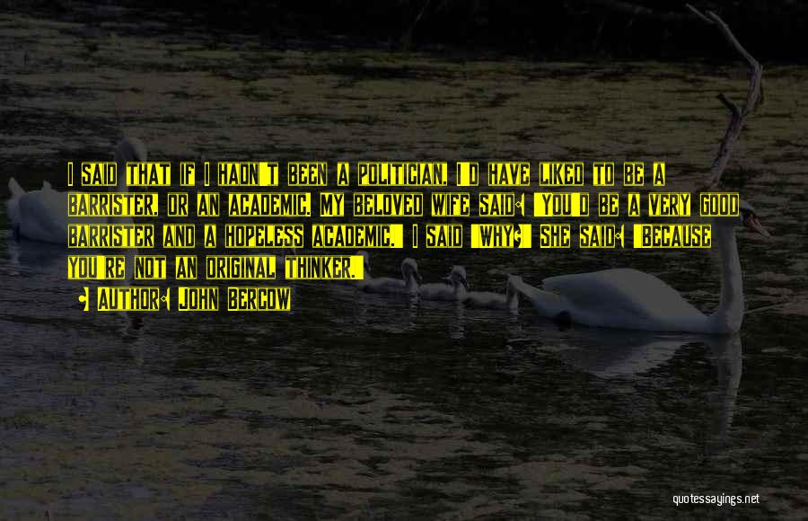 John Bercow Quotes: I Said That If I Hadn't Been A Politician, I'd Have Liked To Be A Barrister, Or An Academic. My