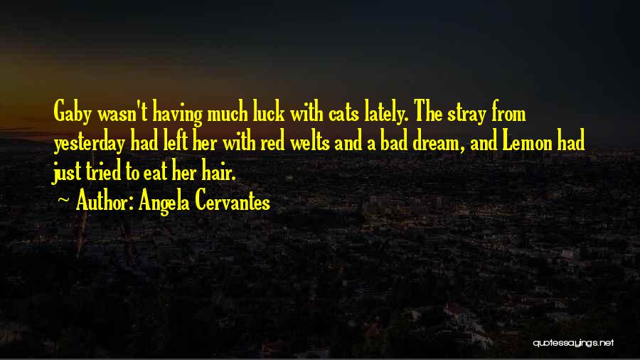 Angela Cervantes Quotes: Gaby Wasn't Having Much Luck With Cats Lately. The Stray From Yesterday Had Left Her With Red Welts And A