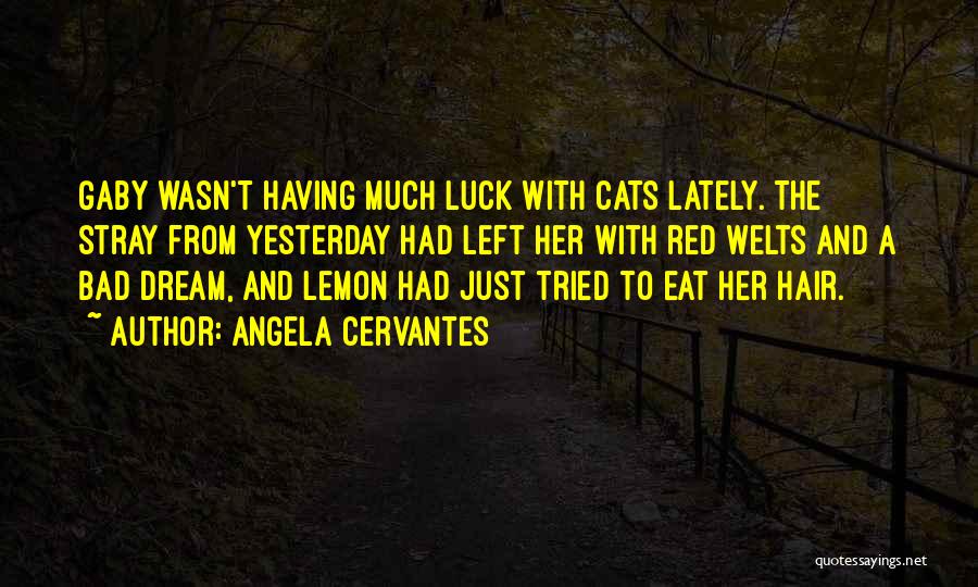 Angela Cervantes Quotes: Gaby Wasn't Having Much Luck With Cats Lately. The Stray From Yesterday Had Left Her With Red Welts And A