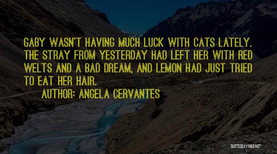 Angela Cervantes Quotes: Gaby Wasn't Having Much Luck With Cats Lately. The Stray From Yesterday Had Left Her With Red Welts And A