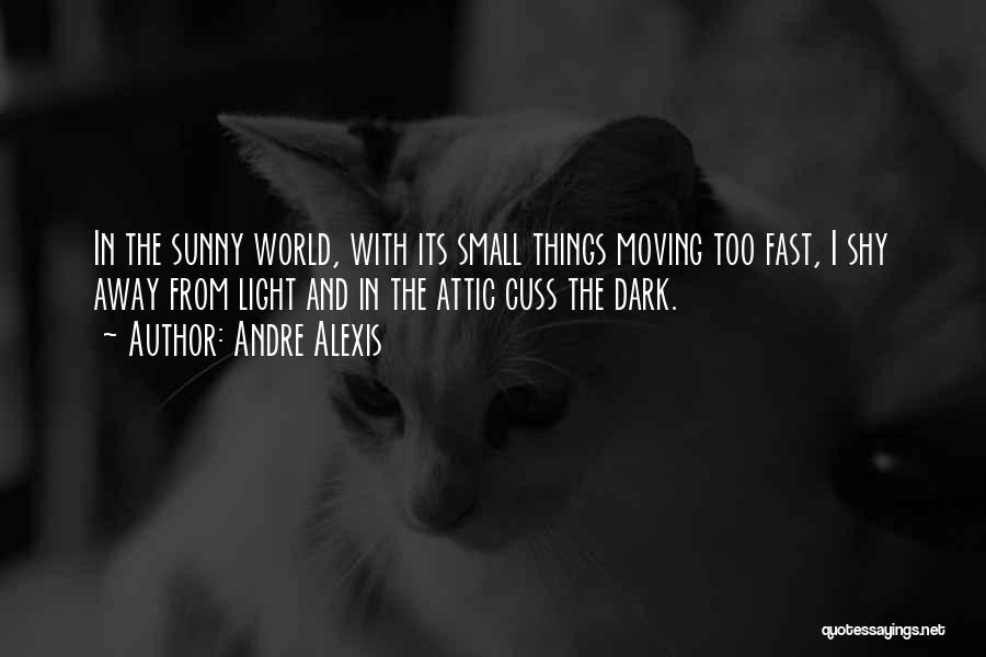 Andre Alexis Quotes: In The Sunny World, With Its Small Things Moving Too Fast, I Shy Away From Light And In The Attic