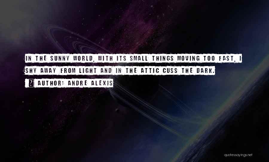 Andre Alexis Quotes: In The Sunny World, With Its Small Things Moving Too Fast, I Shy Away From Light And In The Attic