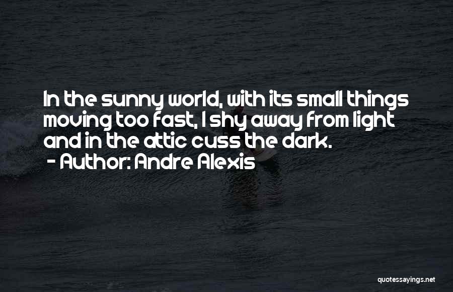 Andre Alexis Quotes: In The Sunny World, With Its Small Things Moving Too Fast, I Shy Away From Light And In The Attic