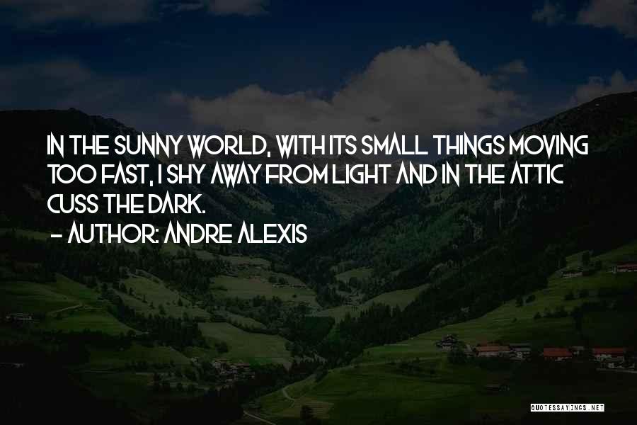 Andre Alexis Quotes: In The Sunny World, With Its Small Things Moving Too Fast, I Shy Away From Light And In The Attic