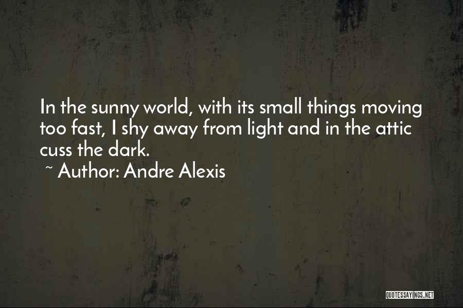 Andre Alexis Quotes: In The Sunny World, With Its Small Things Moving Too Fast, I Shy Away From Light And In The Attic