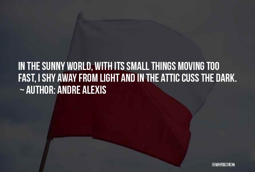 Andre Alexis Quotes: In The Sunny World, With Its Small Things Moving Too Fast, I Shy Away From Light And In The Attic