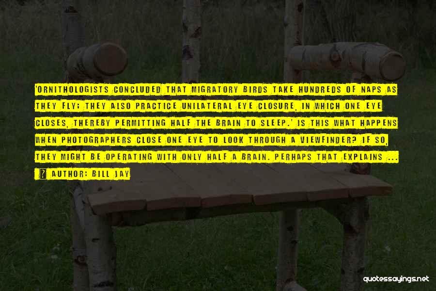 Bill Jay Quotes: 'ornithologists Concluded That Migratory Birds Take Hundreds Of Naps As They Fly; They Also Practice Unilateral Eye Closure, In Which