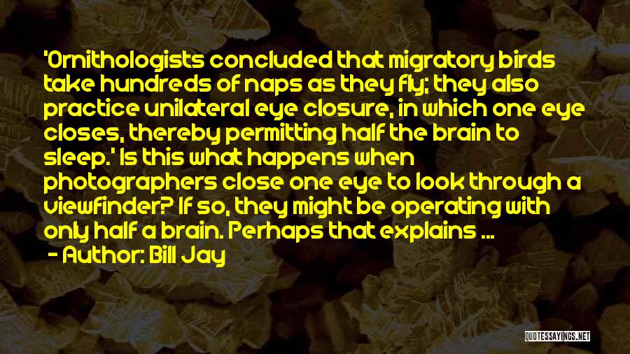Bill Jay Quotes: 'ornithologists Concluded That Migratory Birds Take Hundreds Of Naps As They Fly; They Also Practice Unilateral Eye Closure, In Which