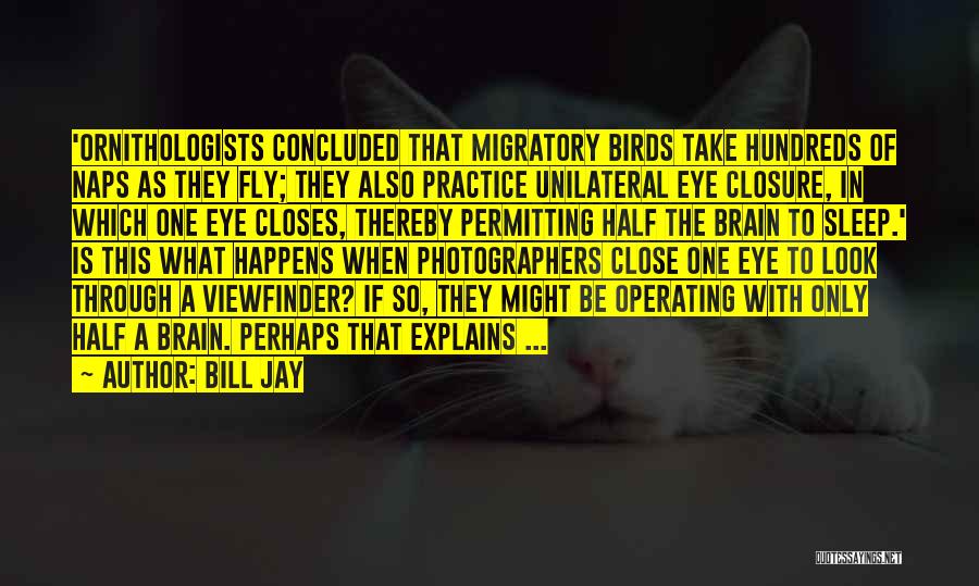 Bill Jay Quotes: 'ornithologists Concluded That Migratory Birds Take Hundreds Of Naps As They Fly; They Also Practice Unilateral Eye Closure, In Which