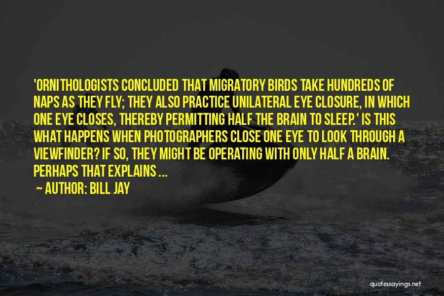 Bill Jay Quotes: 'ornithologists Concluded That Migratory Birds Take Hundreds Of Naps As They Fly; They Also Practice Unilateral Eye Closure, In Which