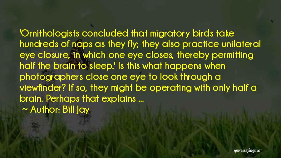 Bill Jay Quotes: 'ornithologists Concluded That Migratory Birds Take Hundreds Of Naps As They Fly; They Also Practice Unilateral Eye Closure, In Which