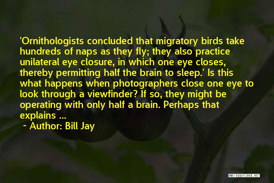 Bill Jay Quotes: 'ornithologists Concluded That Migratory Birds Take Hundreds Of Naps As They Fly; They Also Practice Unilateral Eye Closure, In Which