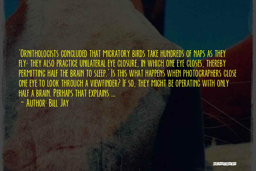 Bill Jay Quotes: 'ornithologists Concluded That Migratory Birds Take Hundreds Of Naps As They Fly; They Also Practice Unilateral Eye Closure, In Which