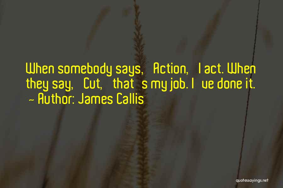 James Callis Quotes: When Somebody Says, 'action,' I Act. When They Say, 'cut,' That's My Job. I've Done It.