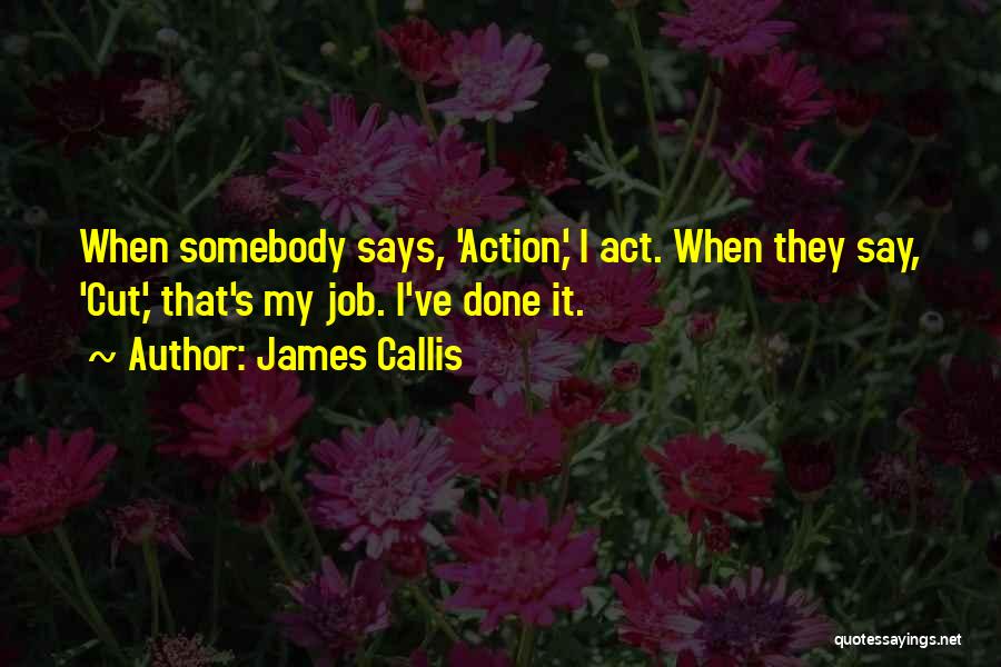 James Callis Quotes: When Somebody Says, 'action,' I Act. When They Say, 'cut,' That's My Job. I've Done It.