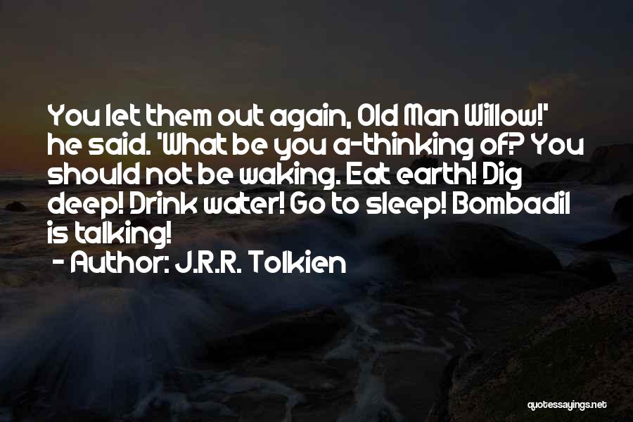 J.R.R. Tolkien Quotes: You Let Them Out Again, Old Man Willow!' He Said. 'what Be You A-thinking Of? You Should Not Be Waking.