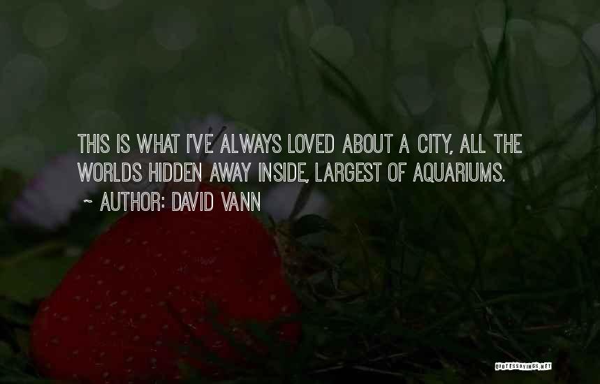 David Vann Quotes: This Is What I've Always Loved About A City, All The Worlds Hidden Away Inside, Largest Of Aquariums.