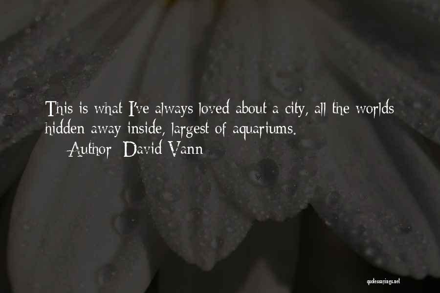 David Vann Quotes: This Is What I've Always Loved About A City, All The Worlds Hidden Away Inside, Largest Of Aquariums.