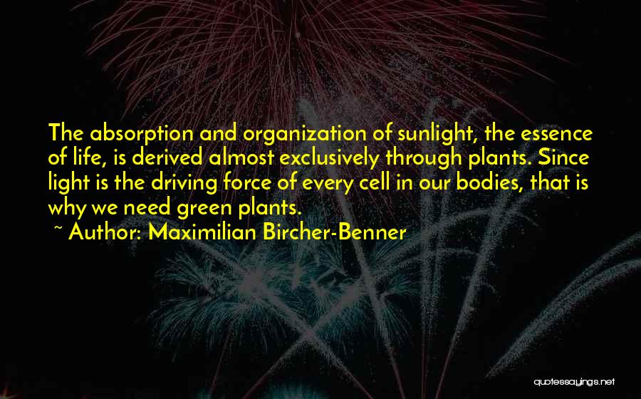Maximilian Bircher-Benner Quotes: The Absorption And Organization Of Sunlight, The Essence Of Life, Is Derived Almost Exclusively Through Plants. Since Light Is The