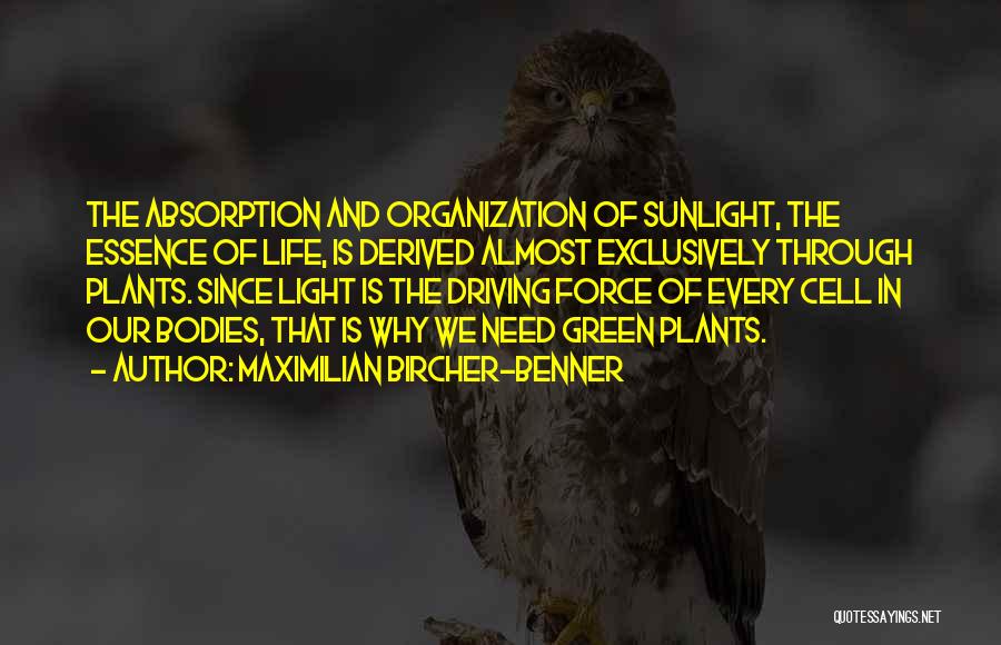 Maximilian Bircher-Benner Quotes: The Absorption And Organization Of Sunlight, The Essence Of Life, Is Derived Almost Exclusively Through Plants. Since Light Is The