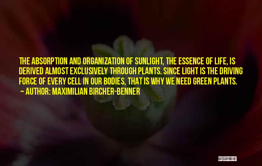 Maximilian Bircher-Benner Quotes: The Absorption And Organization Of Sunlight, The Essence Of Life, Is Derived Almost Exclusively Through Plants. Since Light Is The