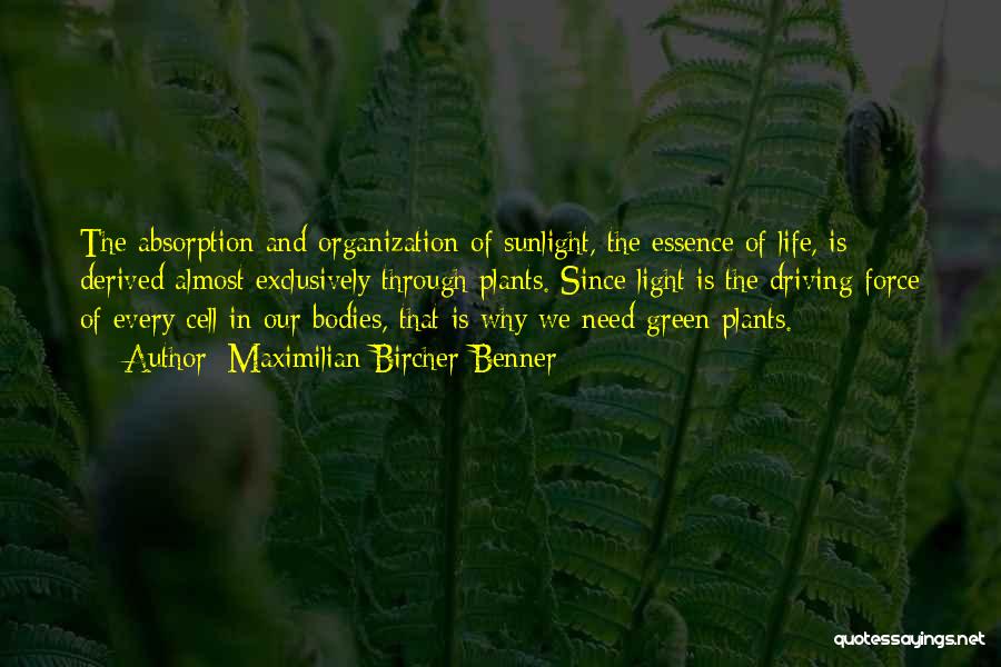 Maximilian Bircher-Benner Quotes: The Absorption And Organization Of Sunlight, The Essence Of Life, Is Derived Almost Exclusively Through Plants. Since Light Is The