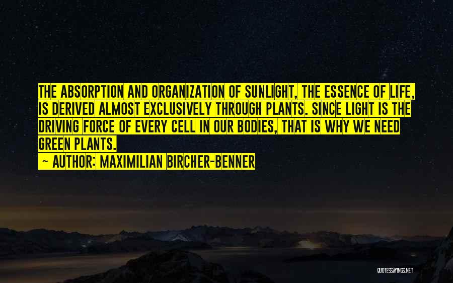 Maximilian Bircher-Benner Quotes: The Absorption And Organization Of Sunlight, The Essence Of Life, Is Derived Almost Exclusively Through Plants. Since Light Is The