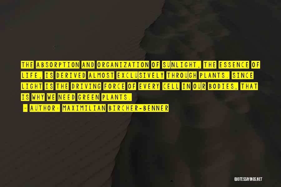 Maximilian Bircher-Benner Quotes: The Absorption And Organization Of Sunlight, The Essence Of Life, Is Derived Almost Exclusively Through Plants. Since Light Is The