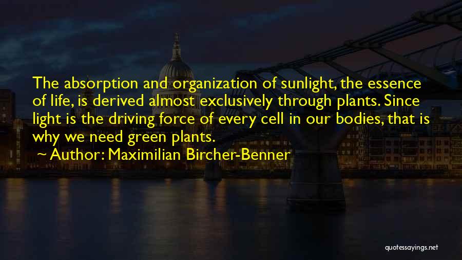 Maximilian Bircher-Benner Quotes: The Absorption And Organization Of Sunlight, The Essence Of Life, Is Derived Almost Exclusively Through Plants. Since Light Is The