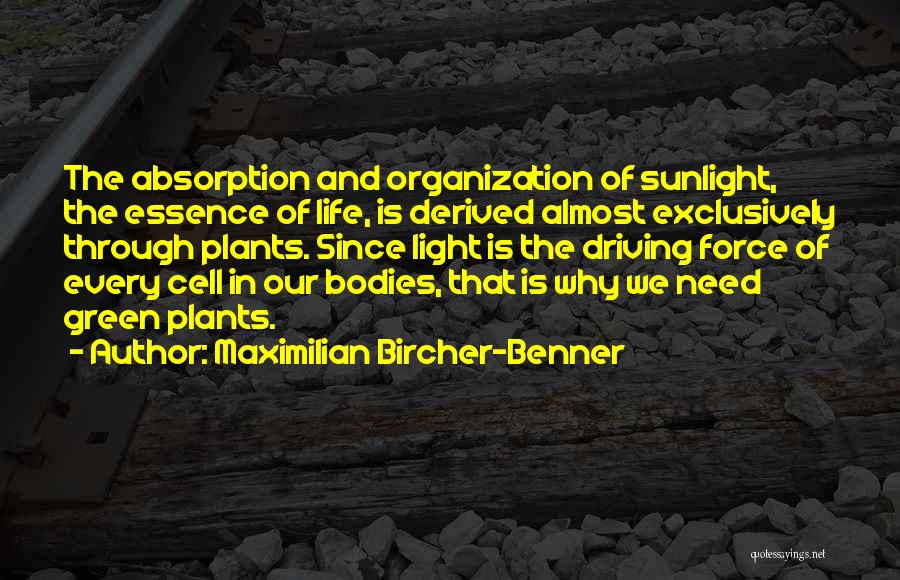 Maximilian Bircher-Benner Quotes: The Absorption And Organization Of Sunlight, The Essence Of Life, Is Derived Almost Exclusively Through Plants. Since Light Is The