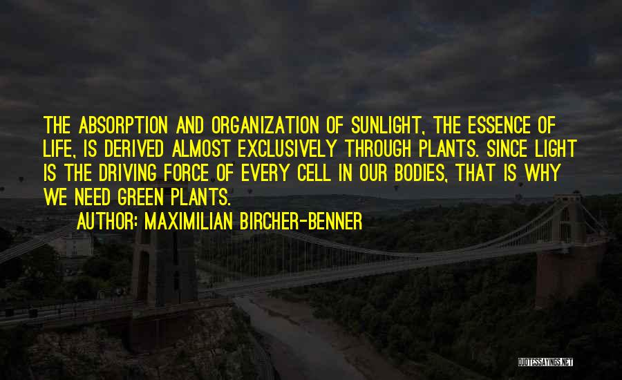 Maximilian Bircher-Benner Quotes: The Absorption And Organization Of Sunlight, The Essence Of Life, Is Derived Almost Exclusively Through Plants. Since Light Is The