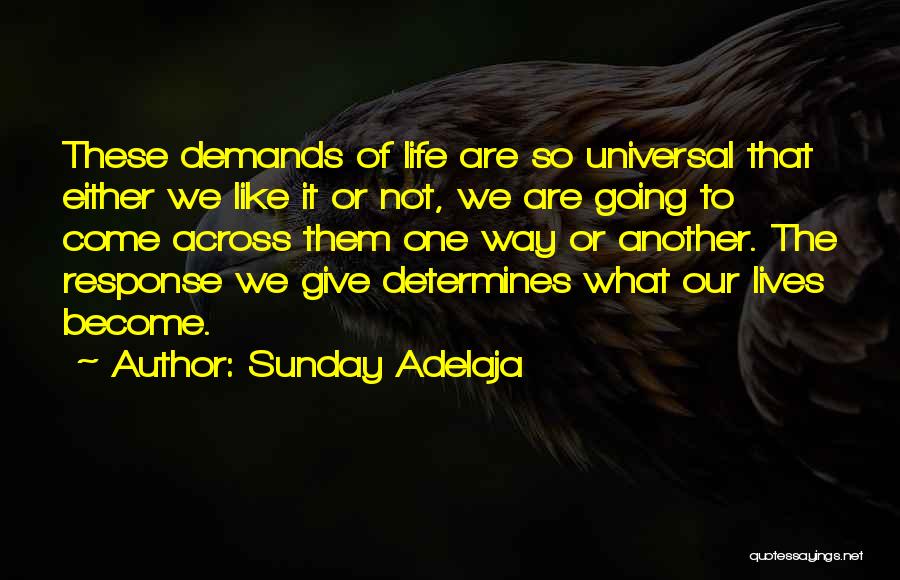 Sunday Adelaja Quotes: These Demands Of Life Are So Universal That Either We Like It Or Not, We Are Going To Come Across