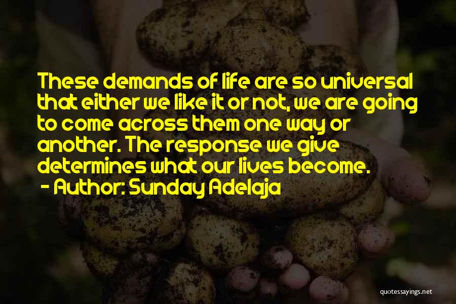 Sunday Adelaja Quotes: These Demands Of Life Are So Universal That Either We Like It Or Not, We Are Going To Come Across