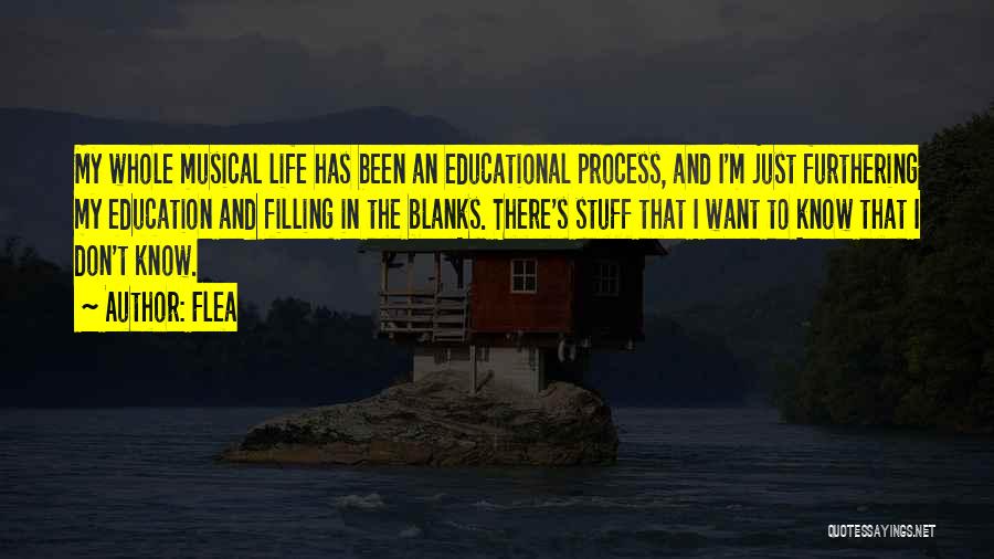 Flea Quotes: My Whole Musical Life Has Been An Educational Process, And I'm Just Furthering My Education And Filling In The Blanks.