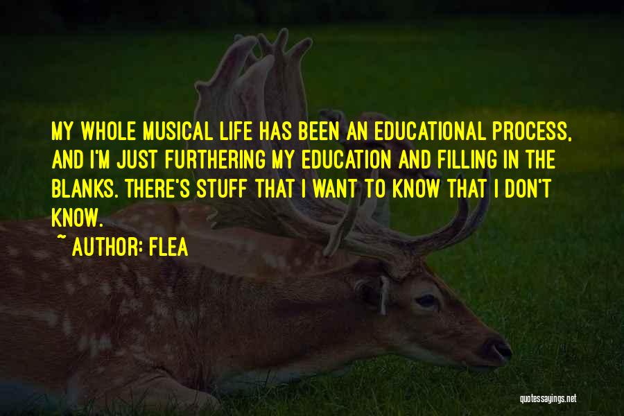 Flea Quotes: My Whole Musical Life Has Been An Educational Process, And I'm Just Furthering My Education And Filling In The Blanks.