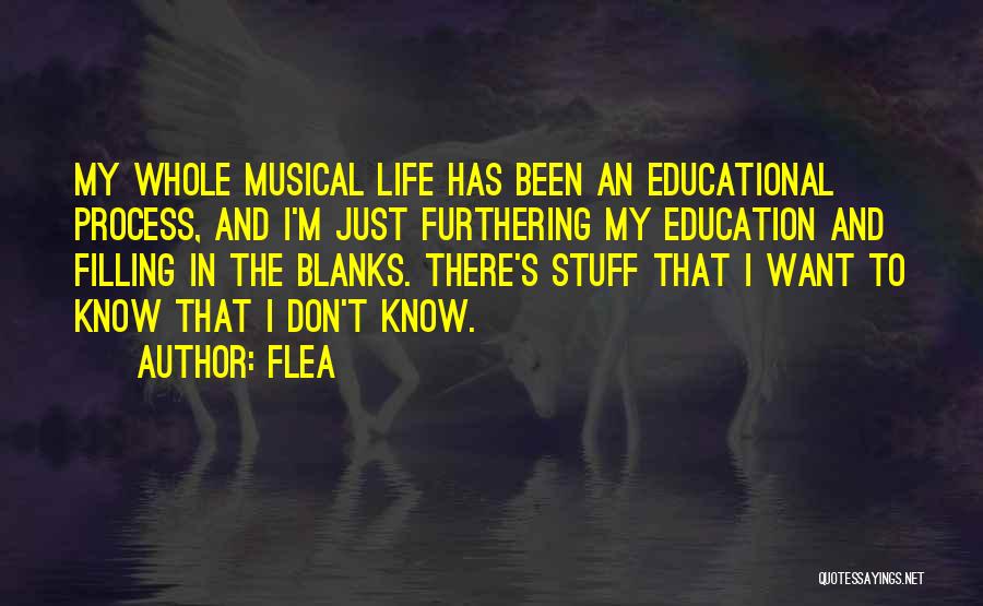 Flea Quotes: My Whole Musical Life Has Been An Educational Process, And I'm Just Furthering My Education And Filling In The Blanks.
