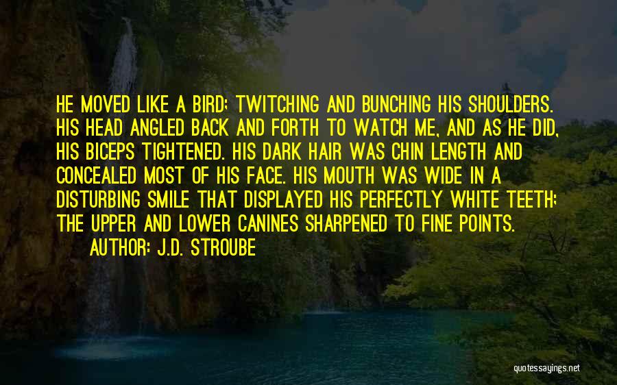 J.D. Stroube Quotes: He Moved Like A Bird; Twitching And Bunching His Shoulders. His Head Angled Back And Forth To Watch Me, And