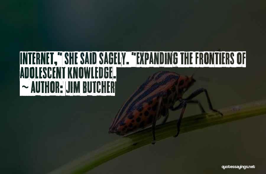 Jim Butcher Quotes: Internet, She Said Sagely. Expanding The Frontiers Of Adolescent Knowledge.