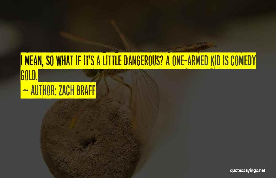 Zach Braff Quotes: I Mean, So What If It's A Little Dangerous? A One-armed Kid Is Comedy Gold.