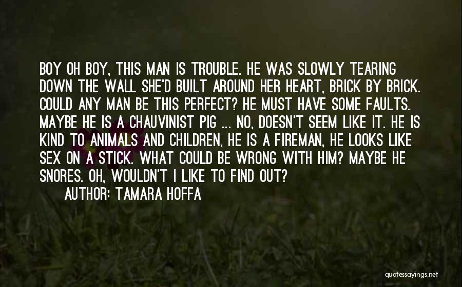 Tamara Hoffa Quotes: Boy Oh Boy, This Man Is Trouble. He Was Slowly Tearing Down The Wall She'd Built Around Her Heart, Brick