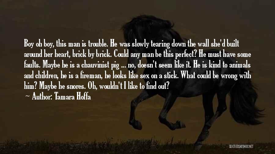 Tamara Hoffa Quotes: Boy Oh Boy, This Man Is Trouble. He Was Slowly Tearing Down The Wall She'd Built Around Her Heart, Brick