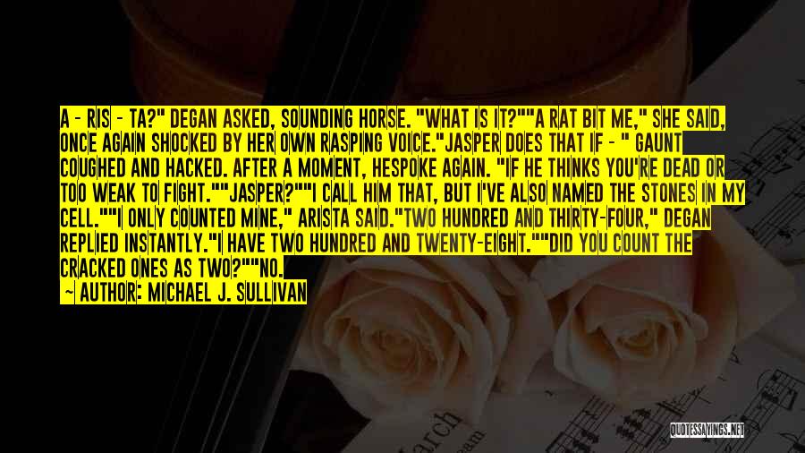 Michael J. Sullivan Quotes: A - Ris - Ta? Degan Asked, Sounding Horse. What Is It?a Rat Bit Me, She Said, Once Again Shocked